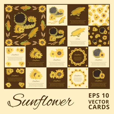 Sunflower greeting card set. Yellow vector flowers on the bright background collectionのイラスト素材