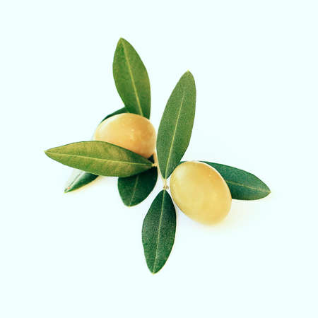 Olives with green leavesの写真素材