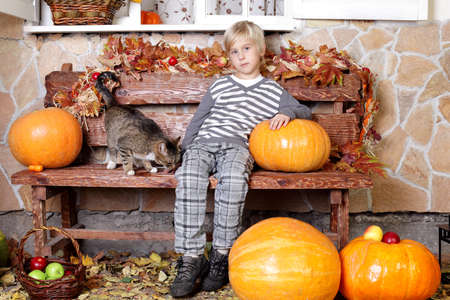 Cute boy with cat on colorful autumn backgroundの写真素材