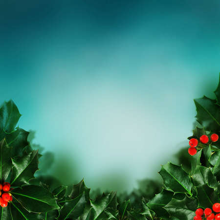 Christmas night - background with holly berry leavesの写真素材