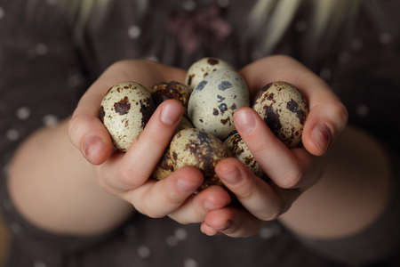 organic eggs in handsの写真素材