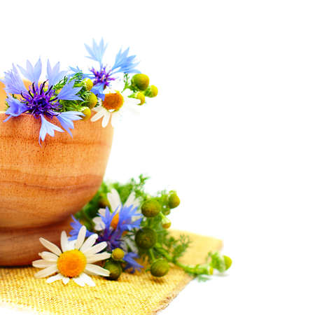 Camomile and cornflowers, vibrant colors borderの写真素材