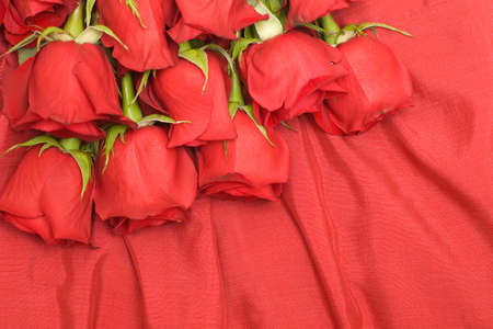 Red roses and silk backgroundの写真素材