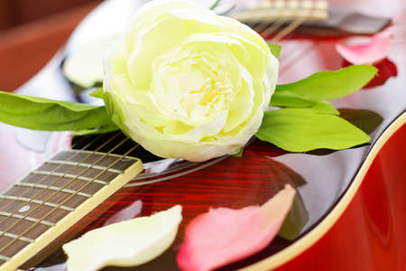 Romantic love concept - white rose on red guitar, backgroundの写真素材