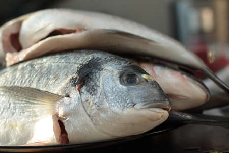 Prepared Fish in Restaurant Kitchen