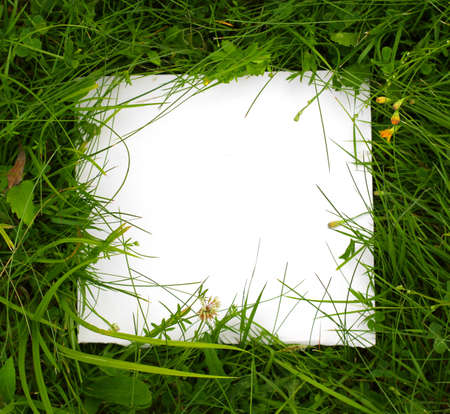 green grass with white cardの写真素材