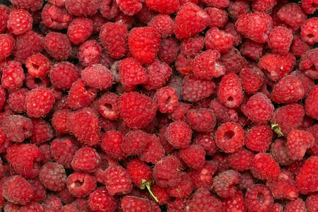 Frame full with fresh raspberries. Background