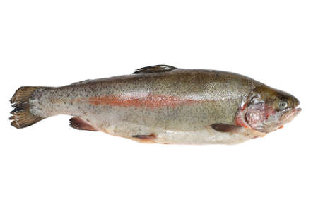 Trout fish containing omega-3 isolated on whiteの写真素材