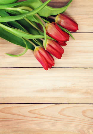 Flowers on Rustic Wooden Board. Tulip Flowers on Backgroundの写真素材