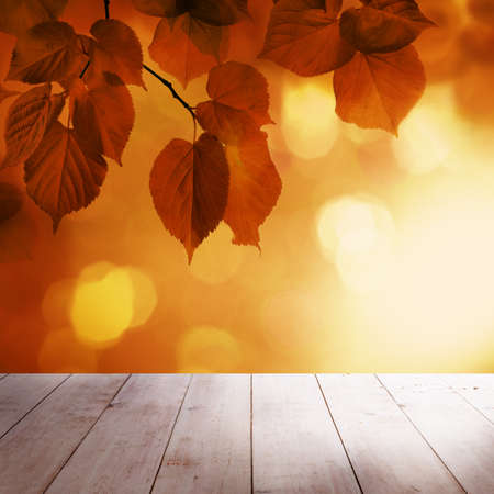 Autumn Background with Red Linden Leaves, Golden Bokeh and Empty Wooden Board with Copy space. Rustc Outdoor Template Mock upの写真素材