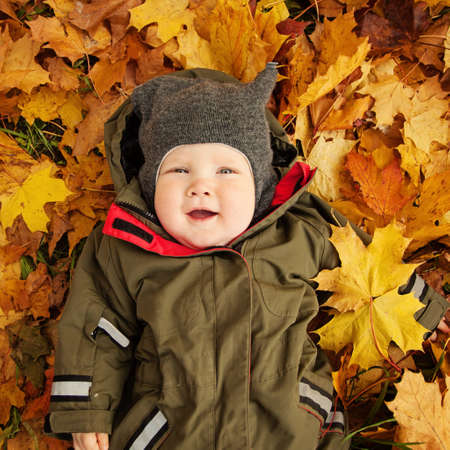 Cute Small Baby on Autumn Leaves. Happy Little Child (6 month old)の写真素材