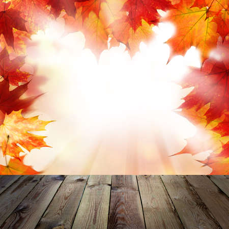 Background with Orange Autumn Maple Leaves and Empty Grunge Wooden Board. Outdoors Template Mock up for Display of Productの写真素材
