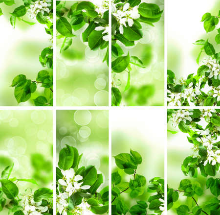 Abstract Green Wallpaper Background with Spring Foliage, Bokeh Glitter and Flowers. Spring or Summer Background Borderの写真素材