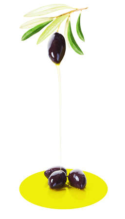 Black Olive and Falling Drop of Biological Olive Oil Isolated on White Backgroundの写真素材