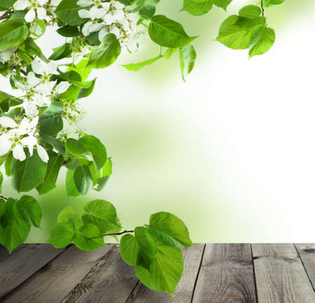 Spring Background with Empty Grey Wooden Table, Green Apple and Linden Leaves and White Flowersの写真素材