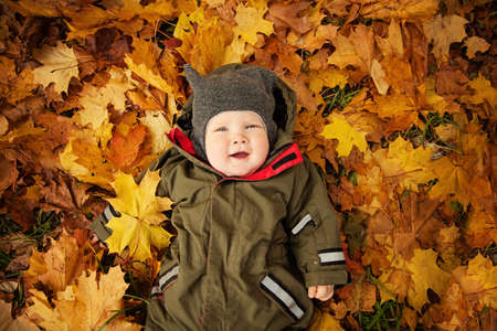 Cute Autumn Child on Fall Yellow Leaves, top viewの写真素材