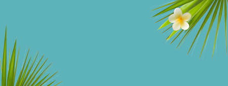 Minimal background with tropical flower and green palm leaves on blue.の写真素材