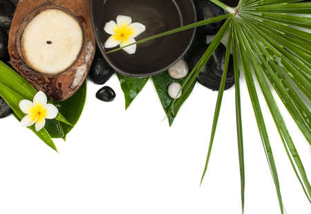 spa tropical objects with big leaves for therapy massageの写真素材