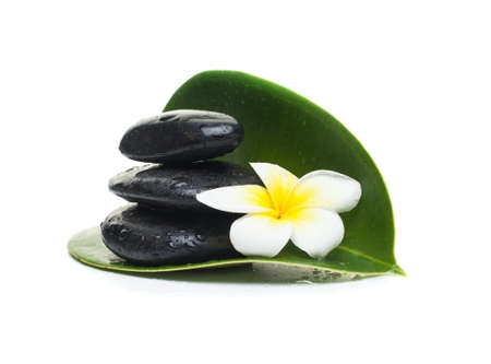 spa tropical objects for healthy therapy on white background.の写真素材