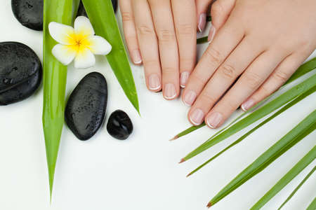 Spa manicure and hands with flower, leaves and stonesの写真素材