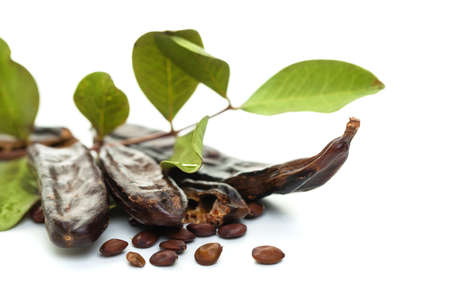 Carob pods on white background. Healthy organic sweet carob pods with seeds and leavesの写真素材
