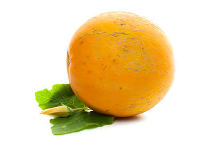 Organic melon with green leaves and yellow flower on white backgroundの写真素材