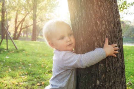 Cute little child with old tree in park outdoorsの写真素材