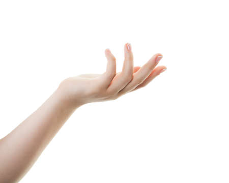 Beautiful female hand isolated on white backgroundの写真素材