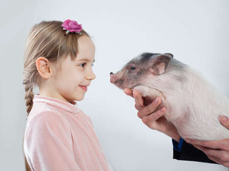 Small child girl and pig, profile. Happy child in pink dress and petの写真素材