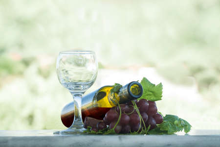 Authentic organic food. Grapes Italian delishes