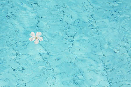 Pool water surface texture and white flower. Blue water background top view