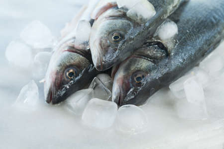 Authentic organic food. Fish Italian delishes in fishmarketの写真素材
