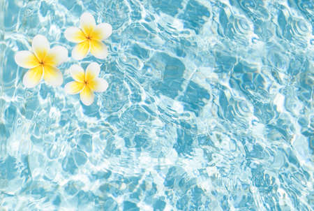 Blue water texture with tropic flowers top view. Pool water surface backgroundの写真素材