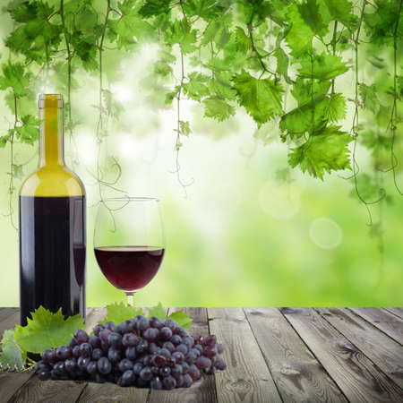 Bottle and glass on wooden table. Vineyard in morning lightの写真素材