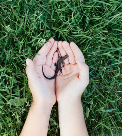 curly child and lizard in the spring against the  of a flowering garden, kid holding lizard in his handsの写真素材