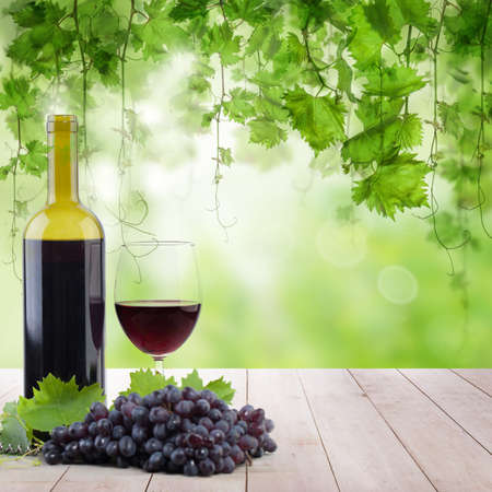 Vineyard in morning light, bottle with glass of red wine on the light wooden tableの写真素材