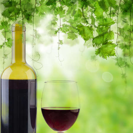 Bottle and glass red wine on green sunny backgroundの写真素材