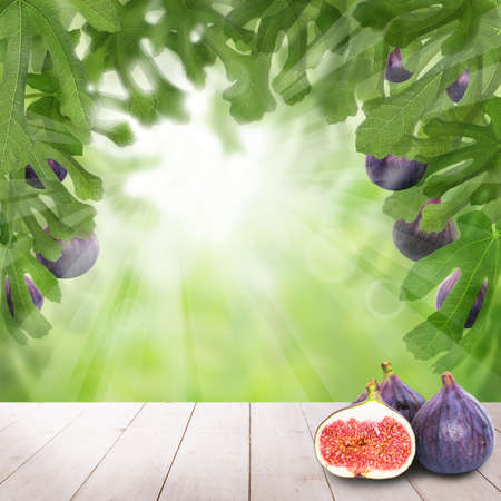 fruits on light wooden table in garden. Sunlight background conceptの写真素材