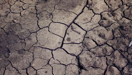 Dry gray ground cracked texture, horizontal natural background top view. Closeup shotの写真素材