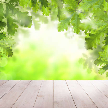 Green oak leaves and bokeh light with white empty wooden table backgroundの写真素材