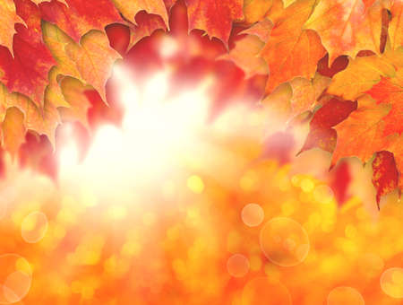 Colorful autumn background. Fall leaves and abstract sun lightの写真素材