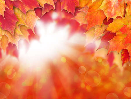 Bright autumn background. Red fall maple leaves and abstract bokeh lightの写真素材