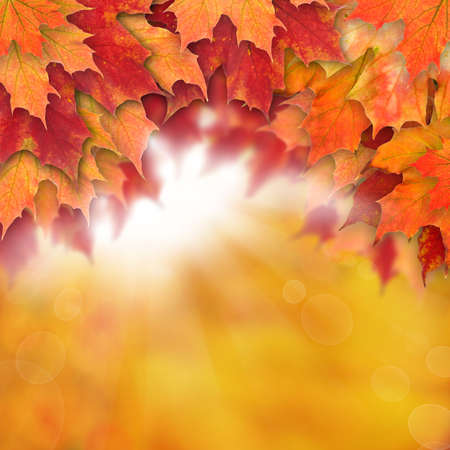 Autumn background with leaves. Colorful fall leaves and abstract gold bokeh lightの写真素材