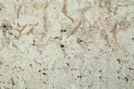 Old grunge textures wall background. Perfect background with space.の写真素材