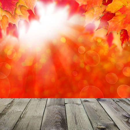Abstract autumn  with fall maple leaves and sun light with empty dark wooden boardの写真素材