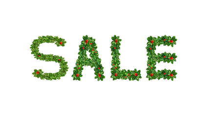 Holly With Berry Letters alphabet. Holly Leaves with berry's in the form of the sale. Isolated on whiteの写真素材