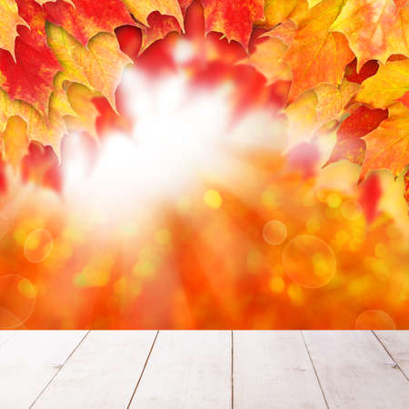 Bright autumn background. Red fall maple leaves and abstract bokeh light with empty white wooden board backgroundの写真素材
