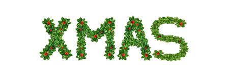 Holly With Berry Letters alphabet. Holly Leaves with berry's in the form of xmas. Isolated on whiteの写真素材