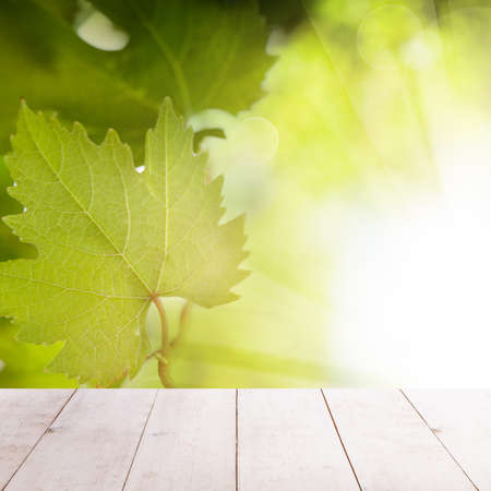 Green grape leaves with bokeh light and white wooden tableの写真素材