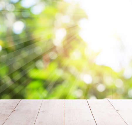 Abstract blurred greenery foliage and white wooden table with sun lightの写真素材